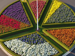 Cul de Sac preset example