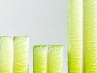 Lime Slices preset example