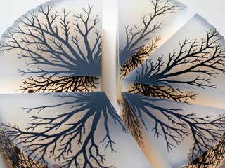 Dendritic Agate preset example