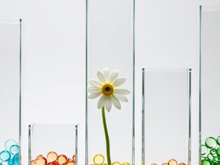 Glass Vases preset example